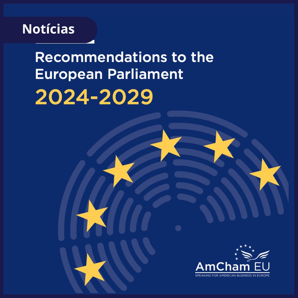 Recommendations to the European Parliament 2024-2029