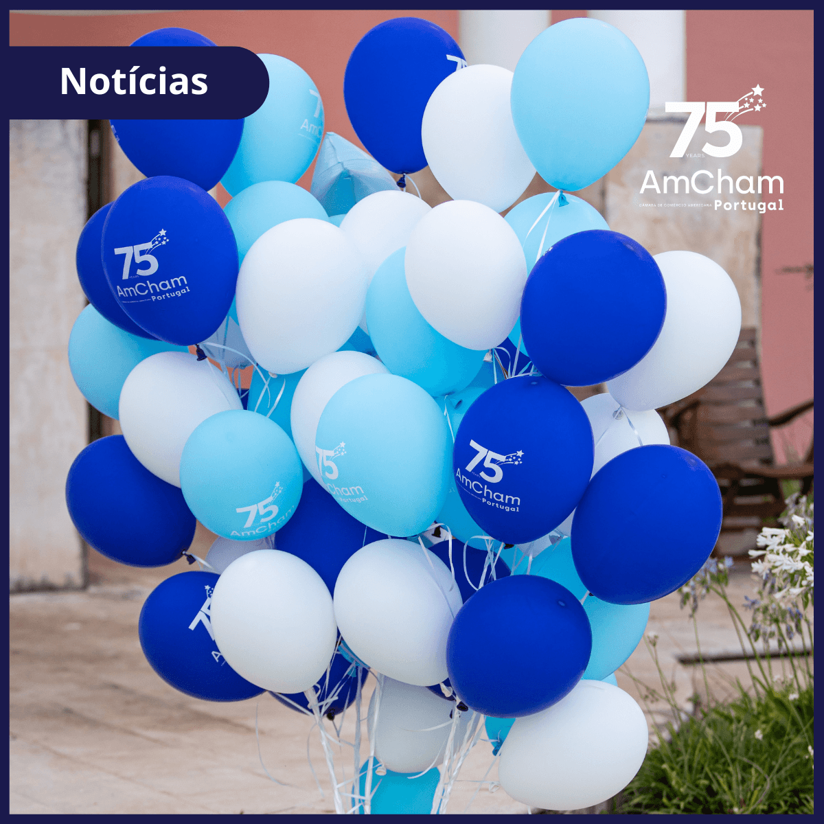 AmCham Anniversary Party