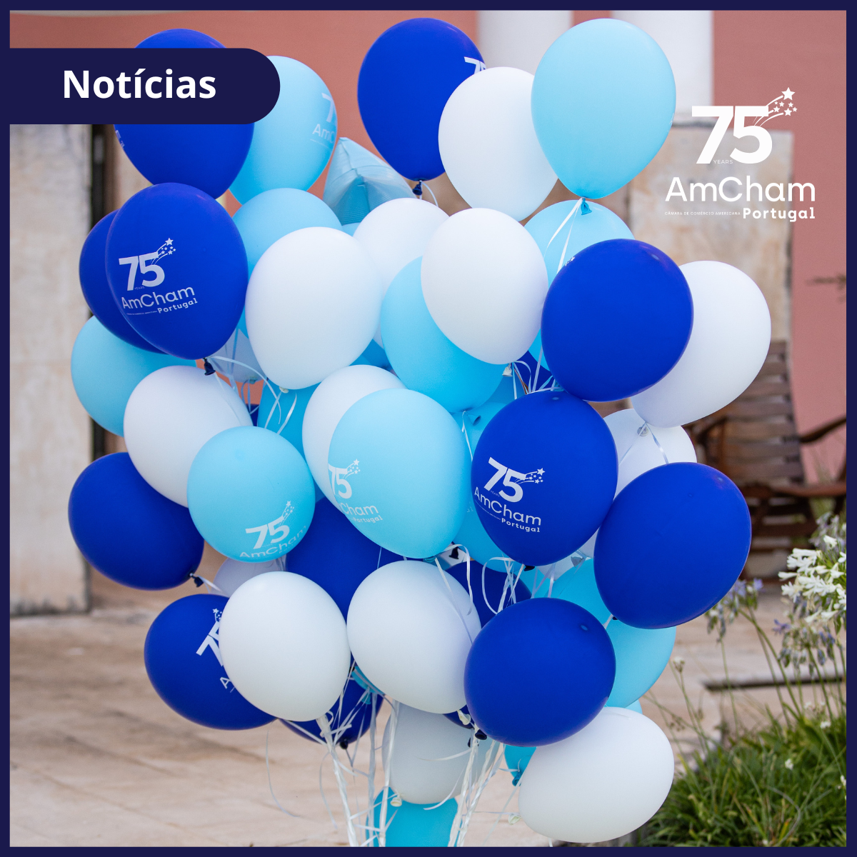 Latest Products Image