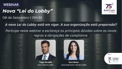 Miniaturas Newsletter