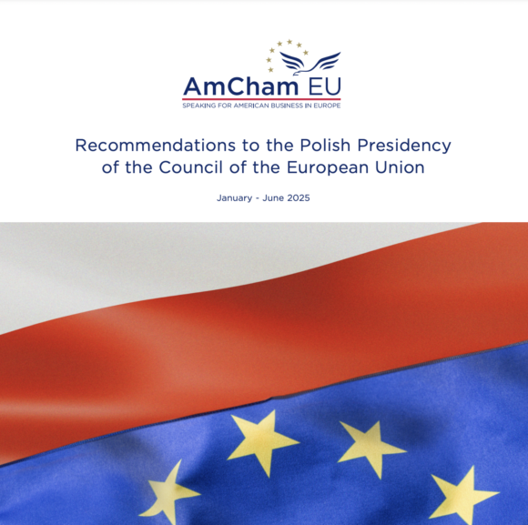 Recommendations to the Polish Presidency of the Council of the European Union